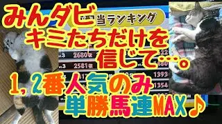 【みんダビ】お前たちをとことん信じるぞ？1,2番人気のみ単勝馬連MAXBET♪