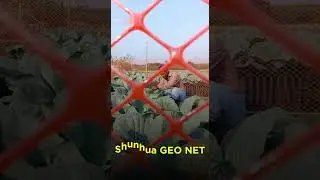 The BEST Farm Safety Net - Shunhua GEO NET by Bonafide Group