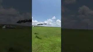 Geese flying