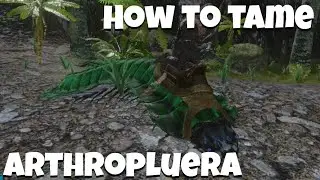 How To Tame Arthro/Arthropluera | Ark Survival Evolved Mobile
