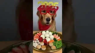 Maple&rsquo;s 2025 New Year Feast 🐶🎉 Mini Buns & Scallops!