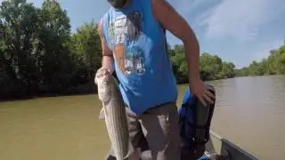 Lower Illinois River Striper Fishing Vol 1