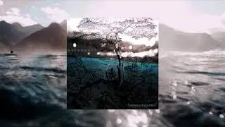 TrueHoustonEmcee - Quiescent