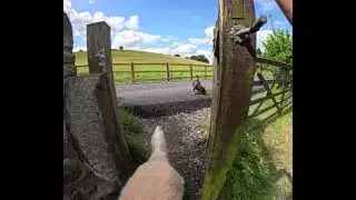 Beautiful moments - Glossop, Derbyshire - England