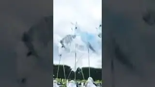 Kleines Fest im gro&szlig;en Garten! Die Windpferde erkunden zum ersten Mal die Herrenh