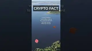 The DAO Hack: A Lesson in Smart Contract Security! 🚨🔐 #shorts #cryptofacts #hacker #cryptocurrency