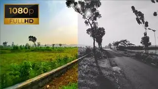 Beauty Nature | COLOR GRADING PART 193