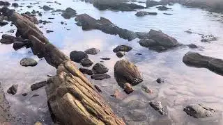 Muhudu verale asiriya apuru sathun 