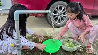 Gia đình Vy Uyên hái rau trong vườn nhà | Tháng 12/2025