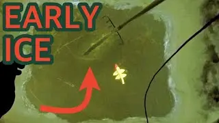 SPEARFISHING pike on EARLY Ice!!!