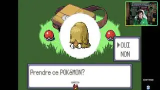 Wow d&eacute;j&agrave; la fin??! - Pokemon Emeraude Plus Full Random Nuzlock #1