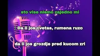 DA LI JOS CVETAS RUMENA RUZO -ZORAN KALEZIC - *KARAOKE*