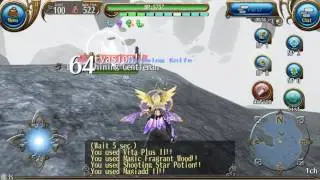 Toram Online - Frelia VS Shining Gentleman
