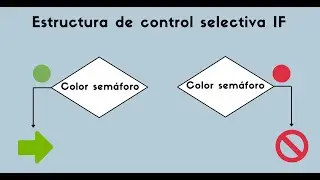 #15 IF - Estructura de control selectiva – Programación en C
