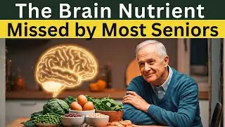 Choline Foods for Seniors Simple Support for Brain Health