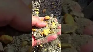 How gold is mined, first signs