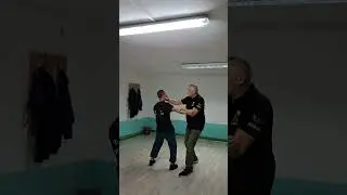 Basic Postulates of Wing Chun Self-defense-Master Lazo Naumov  #wingchun #selfdefense #sports 