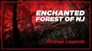 The Enchanted Forest of NJ - Strange Legends
