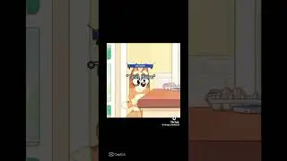 What has happened to bingo healer