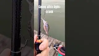 Canne &agrave; p&ecirc;che ultra light et crank