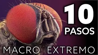 10 PASOS para empezar en MACRO EXTREMO
