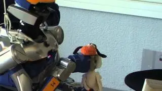 Chicken head tracking enables hand stabilization