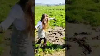 Stuck in the mud
