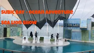 Subic Bay Ocean Adventure - Sea Lion Show