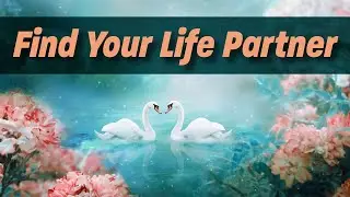 Find The Right Partner For You - Align with Your Ideal Relationship | Subliminal Messages