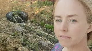 Реальное шоу грядок из поддонов на заднем дворе