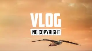 LiQWYD - Play It Safe (Vlog No Copyright Music)