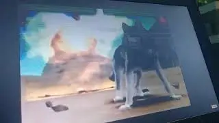Animal kaiser Evolution - Vampire bat Vs Gray wolf Tournament