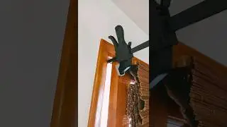 warped door fix, the door is letting cold air in and adjusting hinges or handle did not work, clamps