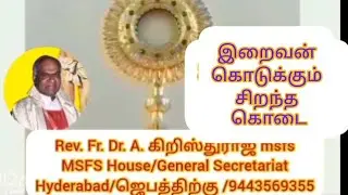நலம் தரும் நற்கருணை நாதர் எண்: 1966/25/01:2026