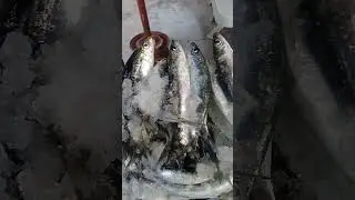 مدينة سلا .حي اشماعوا 0673234134