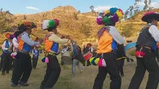 LINCES DE CAMBRUNE pules cambrune 2019