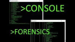 Powershell and Bash console history forensics gold...