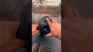 Why do raccoons act like professional thieves?  #FunnyCamping