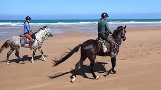 2024-05 - Maroc - Sidi-Kaouki - Randonnée à Cheval