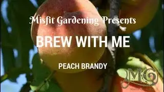 How To Make Peach Flavored Brandy Liqueur
