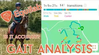 Reviewing The Equilab Equestrian Tracking App Gait Analysis