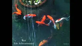 Koi - Eric Schmassmann (Balanced Mix)
