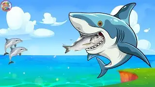 Marine Creatures II Kids Learning video