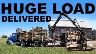 HUGE FIREWOOD LOG LOAD DELIVERED!