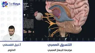 مراجعة الجهاز العصبي 🧠📘 | العلوم للبكالوريا مع تركيز