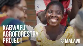 Kabwafu Agroforestry Project in Malawi | Sustainable Farming Solutions & AirImpact