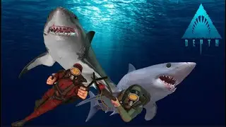 We Played Depth