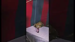 fishing bear bottle in Mela #mela #games #diwalimela #trending #viral#likeforlikes #fun #enjoyment