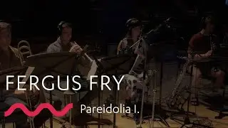FERGUS FRY: Pareidolia I.