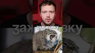 ⚡️МАНУЛ ЗАВЕРШИЛ ЗАЖИРОВКУ!